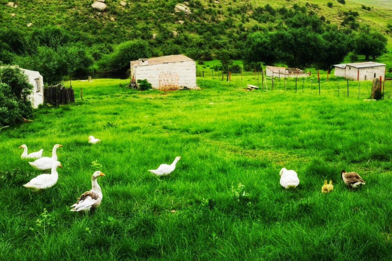 Oban Historical Guest Farm Villa Van Reenen Esterno foto
